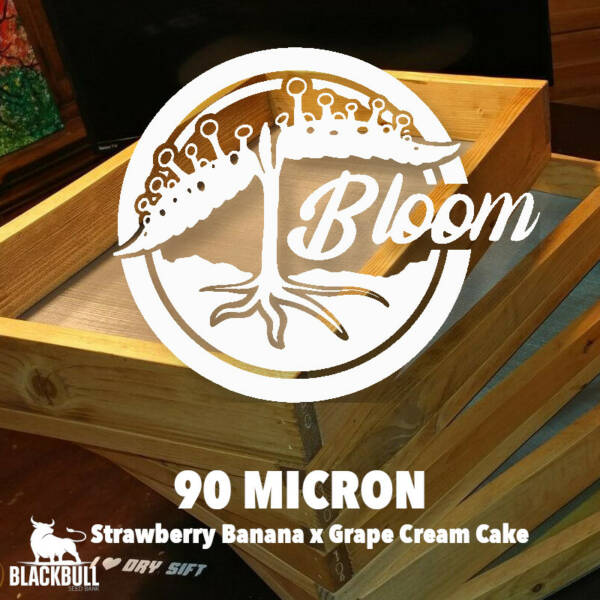 90 micron bloom seeds