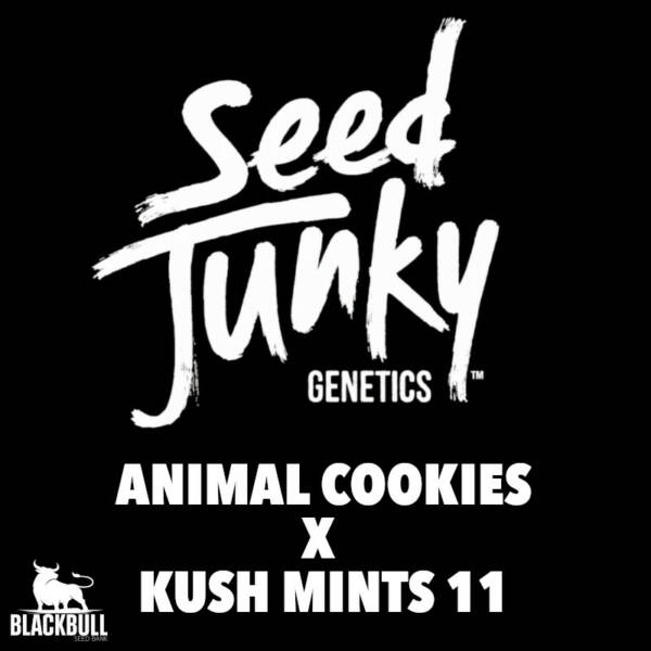 Seed Junky Genetics Cannabis Animal Cookies