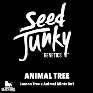 Marihuana seeds Animal Tree Junky