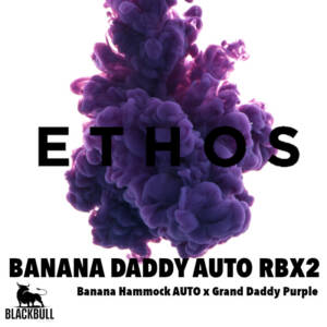 banana daddy auto ethos seeds