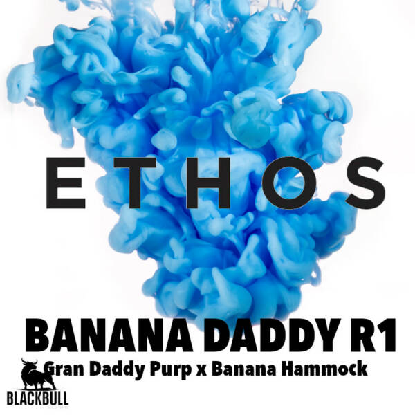 banana saddy r1 ethos seeds