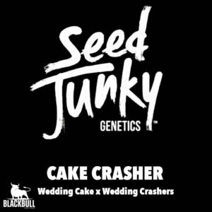 Seeds Shop Cake Junky Genetics