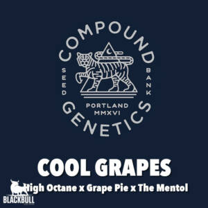 cool grapes compound genetics seeds