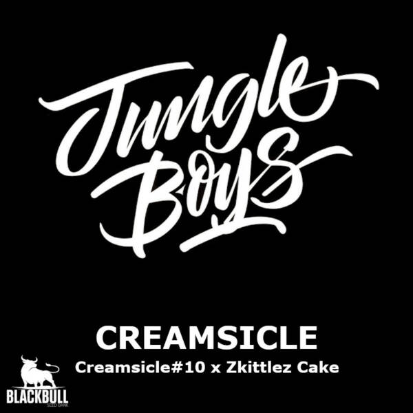creamsicle jungle boys seed