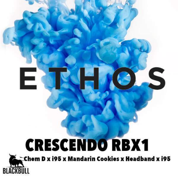 crescendo rbx1 ethos seeds
