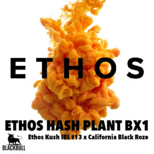 ethos hash plant bx1 ethos