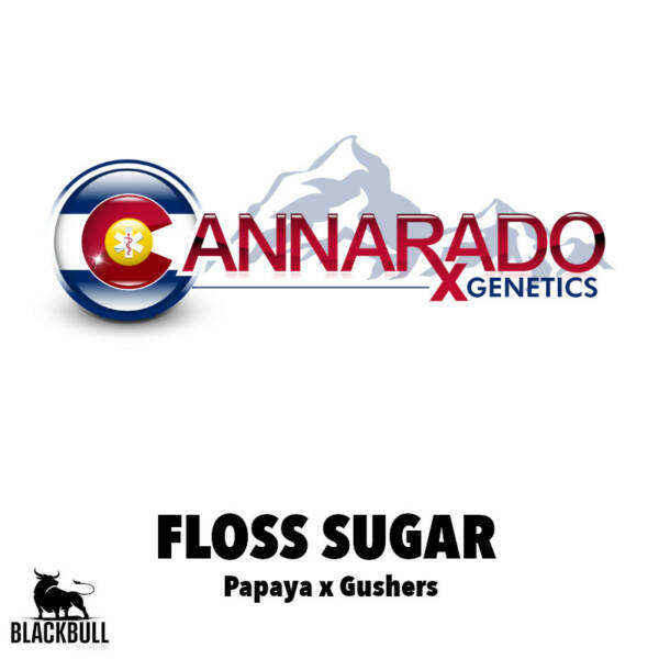 floss sugar cannarado genetics seeds