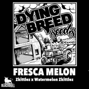 fresca melon dying breed seeds