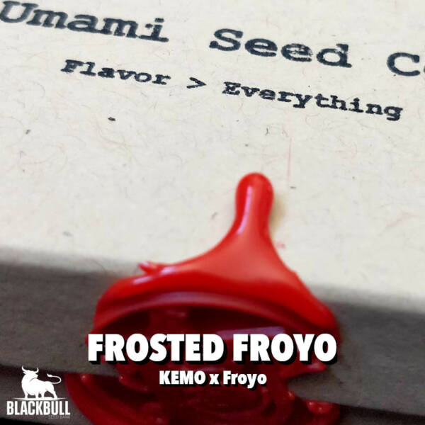 buy cannabis seeds frosted froyo umami