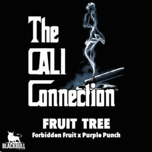 fruit tree the cali connection seeds