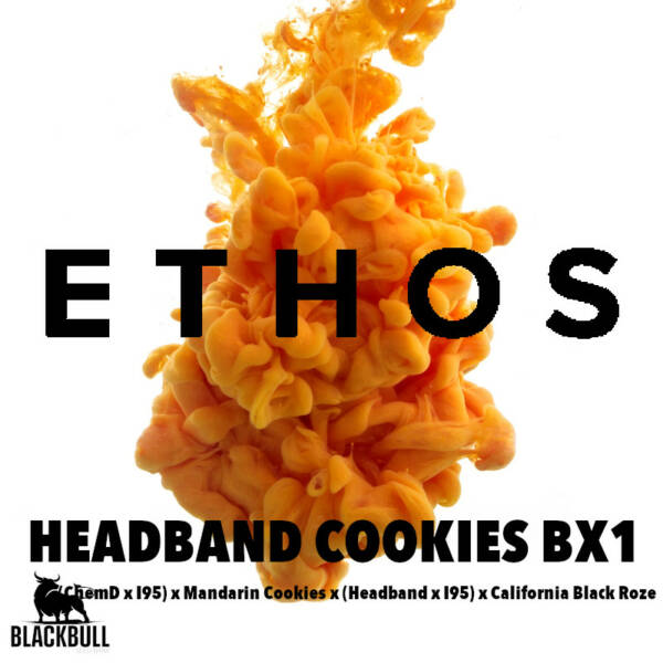 headband cookies ethos seeds