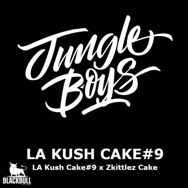 la kush cake jungle boys seed