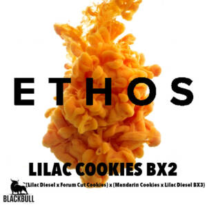 lilac cookies bx2 ethos seeds