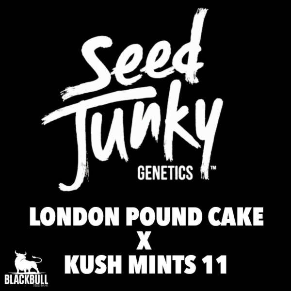 Seed Junky Genetics Cannabis London Pound
