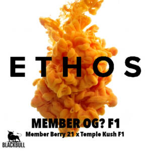 member oq f1 ethos seeds