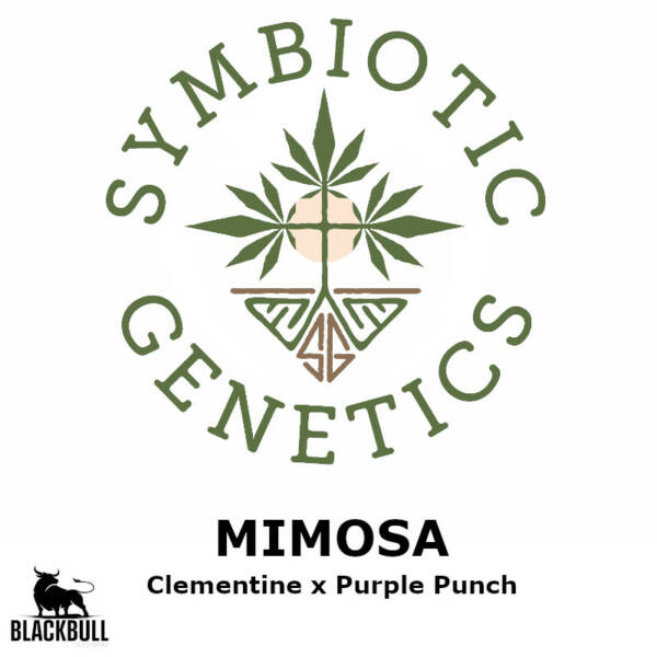 mimosa symbiotic genetics seeds
