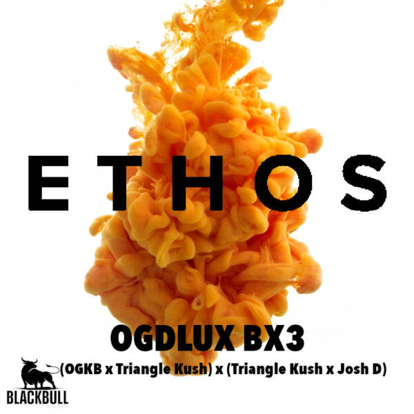 oqdlux bx3 ethos seeds