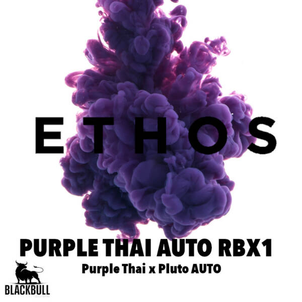 purple thai auto ethos seeds