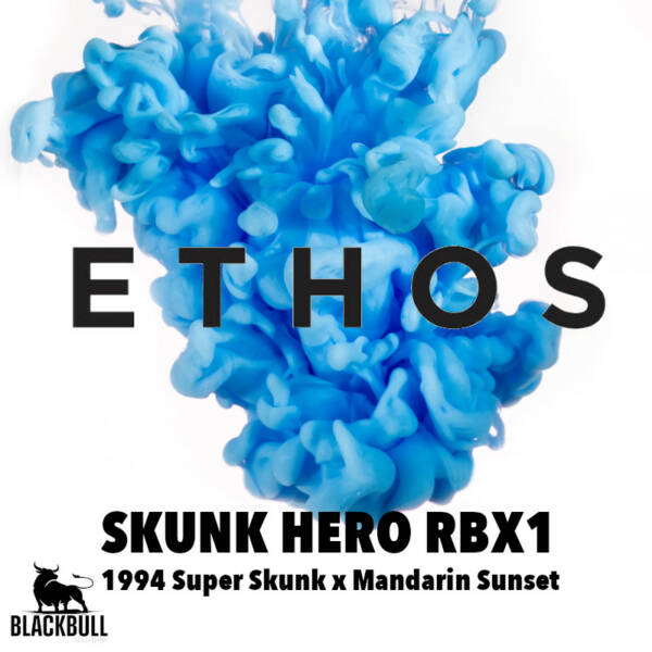 skunk hero rbx1 ethos seeds