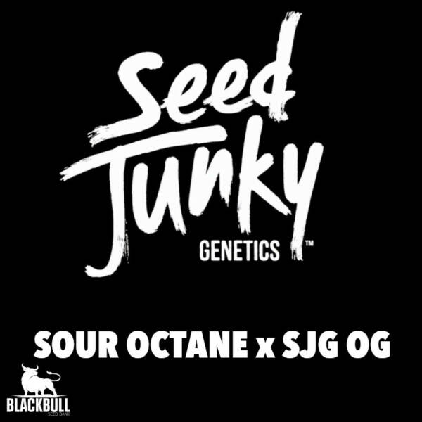 Marihuana seeds Sour Octane Junky