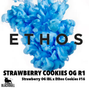strawberry cookies oq r1 ethos seeds
