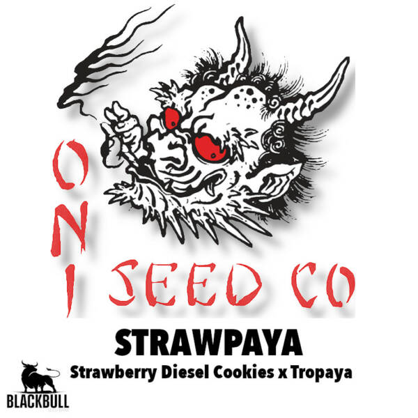 strawpaya oni seeds