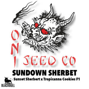 sundown sherbert oni seeds