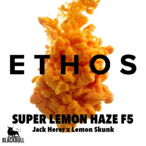 super lemon haze f5 ethos seeds