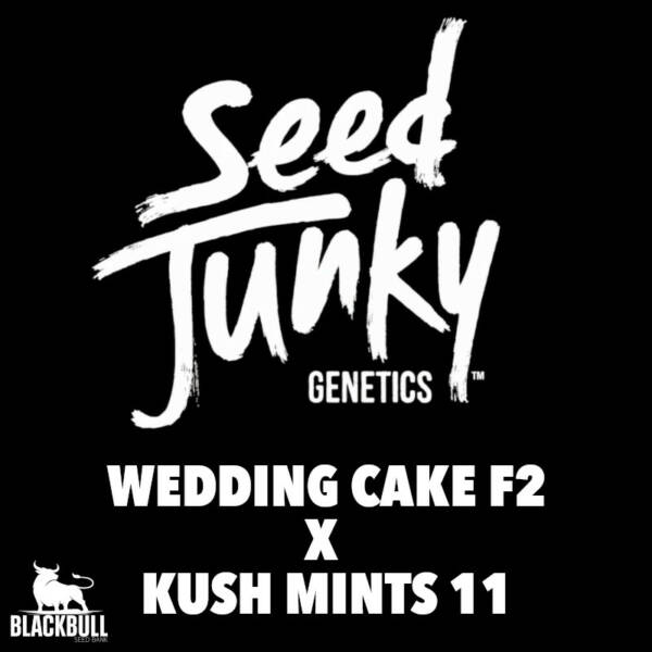 Seed Junky Genetics Cannabis Wedding Cake