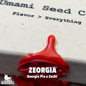 feminized cultivated seeds zeorgia umami