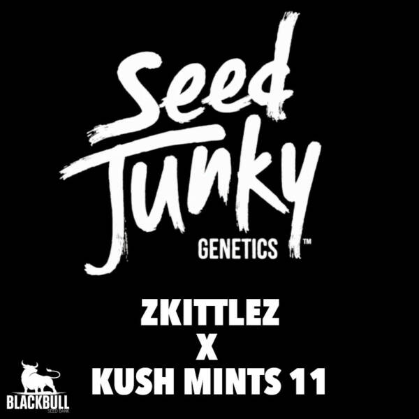 Seed Junky Genetics Cannabis Zkittkez Kush Mints