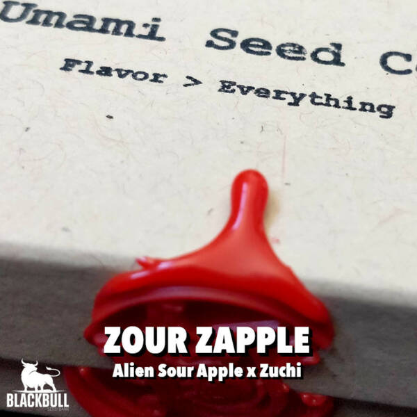 feminized cultivated seeds zapple umami