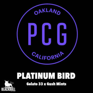 Platinum Bird Purple City Genetics Seeds