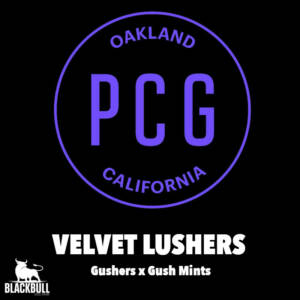 Velvet Lushers Purple City Genetics Seeds