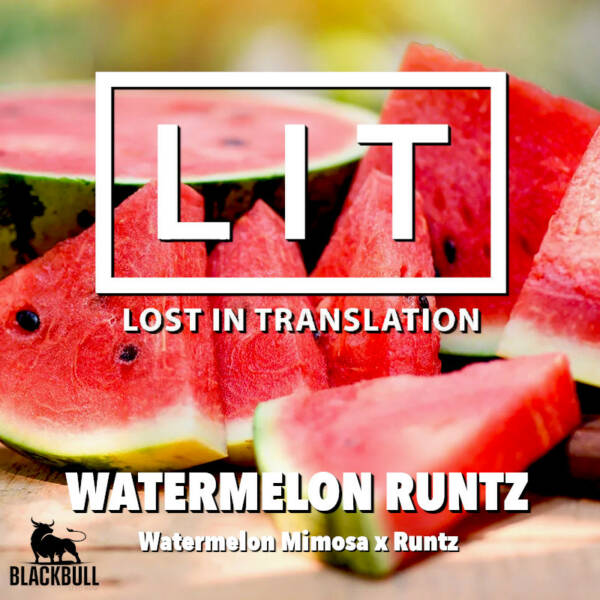 Watermelon Runtz LIT Farms Seeds