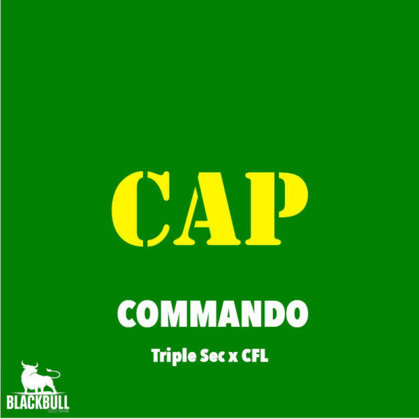 Commando Capulator Seeds