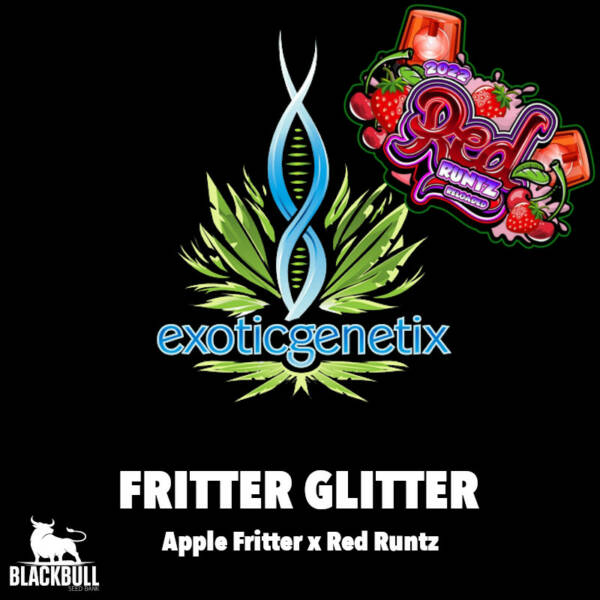 Fritter Glitter Exotic Genetix feminized seeds