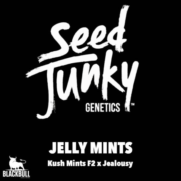 Jelly Mints Seed Junky Genetics regular seeds