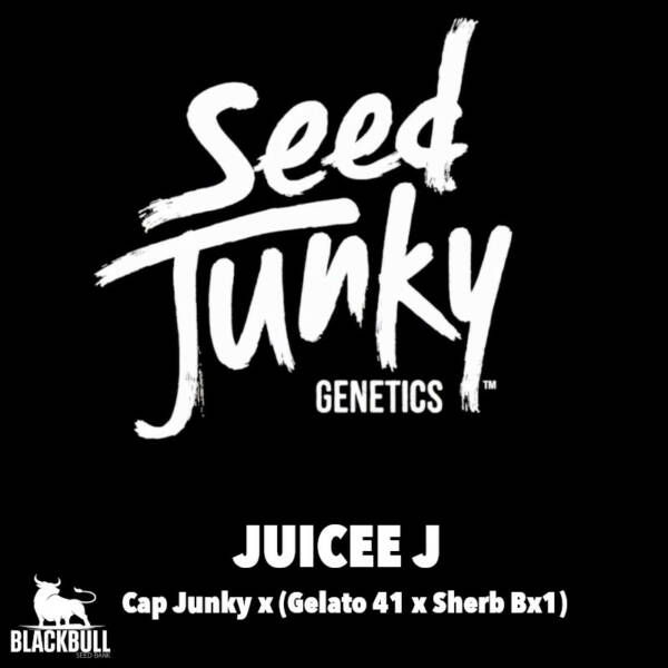 Juicee J Seed Junky Genetics regular seeds
