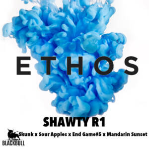 Shawty R1 Ethos Genetics seeds
