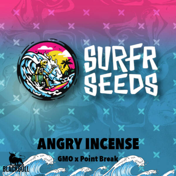Angry Incense Surfr regular seeds