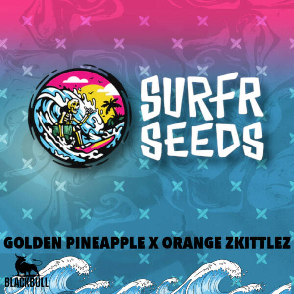 Golden Pineapple x Orange Zkittlez Surfr regular seeds