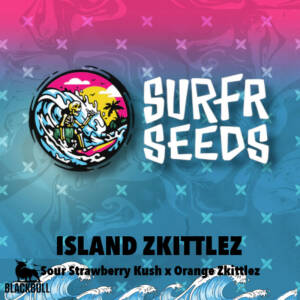 Island Zkittlez Surfr regular seeds