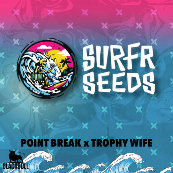 Point Break x Trophy Wife Surfr regular seeds