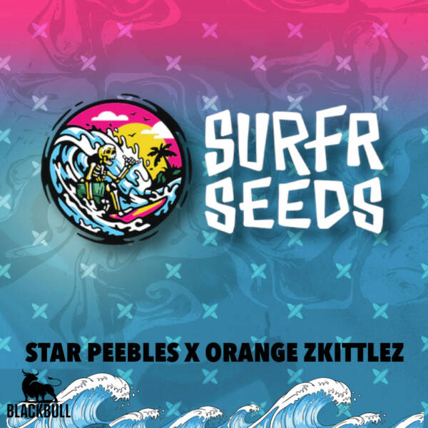 Star Peebles x Orange Zkittlez Surfr regular seeds