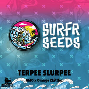 Terpee Slurpee Surfr regular seeds