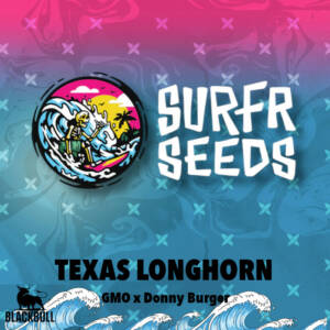 Texas Longhorn Surfr regular seeds