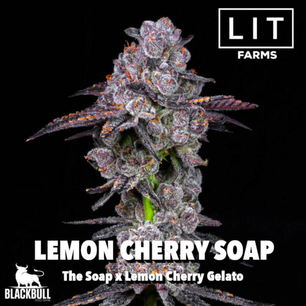 Lemon Cherry Soap LIT Farms Seeds