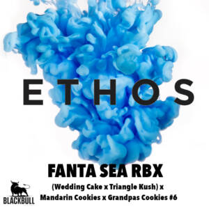 Fanta Sea RBX Ethos Genetics seeds