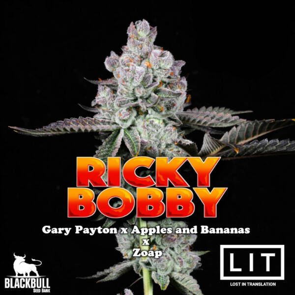 Ricky Bobby LIT Farms feminized cannabis seeds